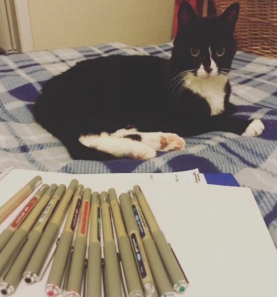 A black cat with white patches of fur on his feet and paws is lying on a bed with a blue blanket on it. There are pens in the foreground on top of a notebook. 