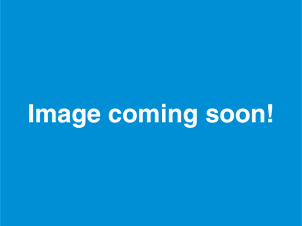 The words 'Image coming soon!' on a blue background.